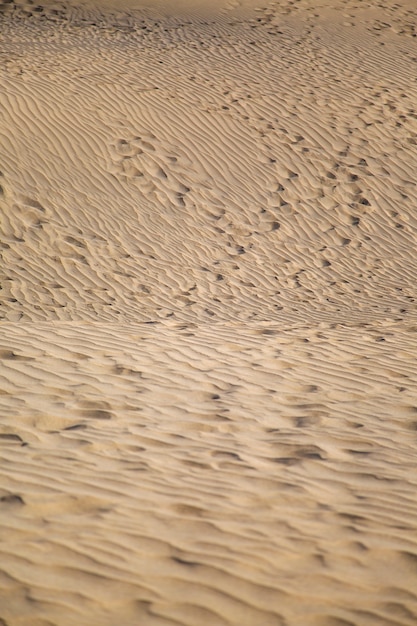 Sand Textur