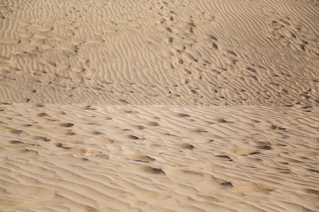 Sand Textur