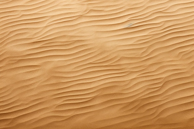 Sand Texture