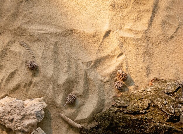 Sand Zusammensetzung Natur Hintergrund Holzrinde Stein