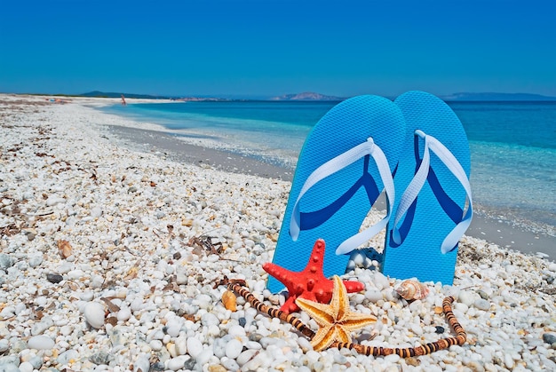 Sandalias azules y estrellas de mar sobre guijarros blancos junto a la orilla