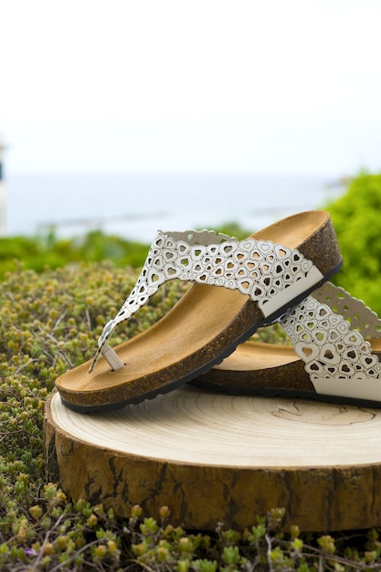 Sandálias femininas em uma prancha de madeira em um arbusto com o fundo da praia