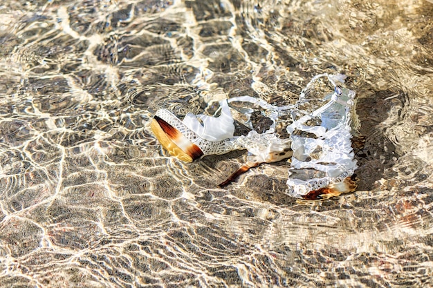 Sandálias femininas na água na praia arenosa