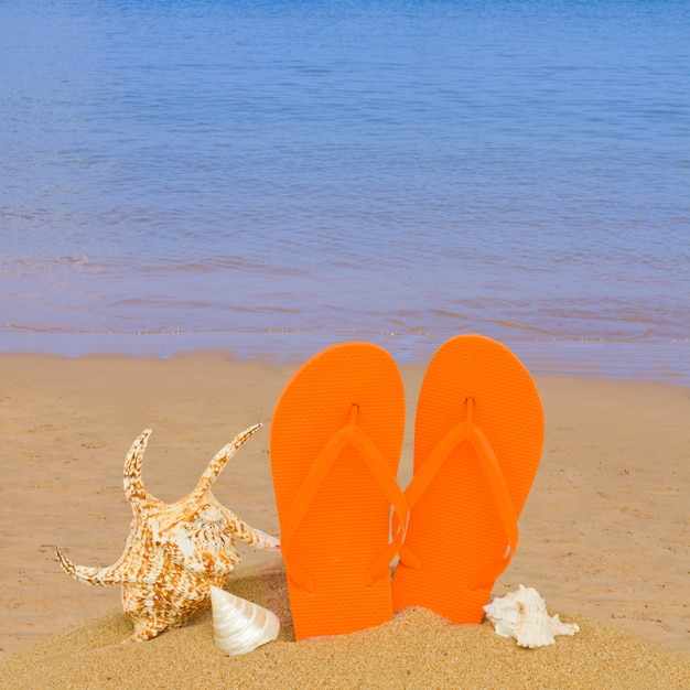 Sandalias naranjas y conchas marinas en la arena en la playa