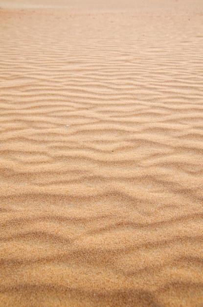 Sandbeschaffenheit in der Goldwüste