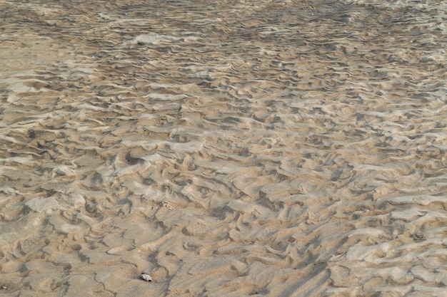 Foto sandboden eines trockenen flusses muster im sand