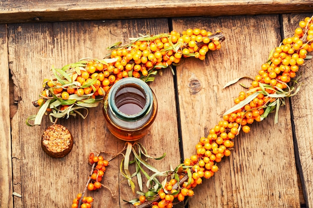 Sanddornbeeren in der Kräutermedizin