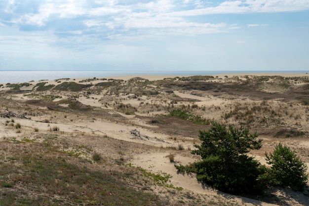 Sanddüne aus der Höhe von Efa und der Ostsee an einem Sommertag Kurische Nehrung Kaliningrader Region Russland