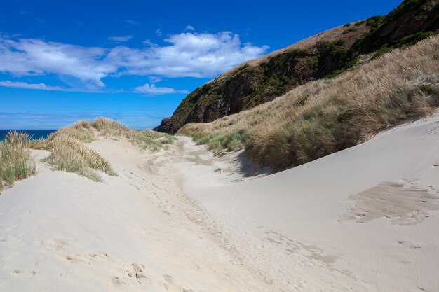 Sanddüne bei Sandfly Bay in Neuseeland