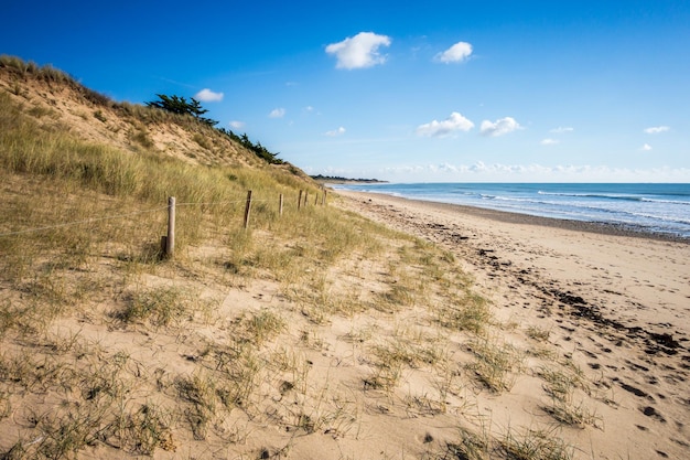 Sanddüne und Zaun am Strand Re Insel Frankreich Blauer Himmelshintergrund