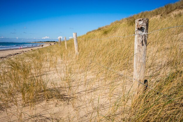 Sanddüne und Zaun am Strand Re Insel Frankreich Blauer Himmelshintergrund