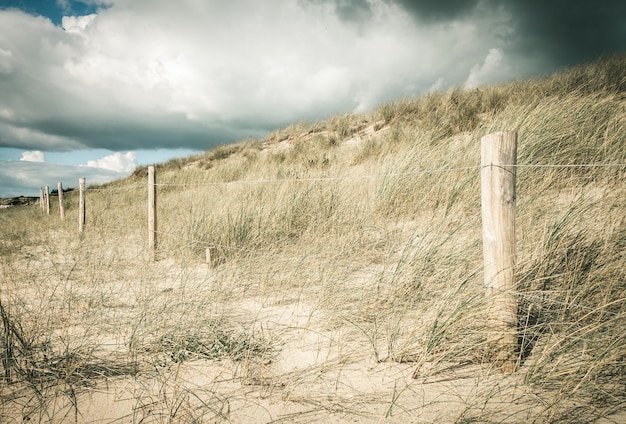 Sanddüne und Zaun an einem Strand, Insel Re, Frankreich. Bewölkter Hintergrund