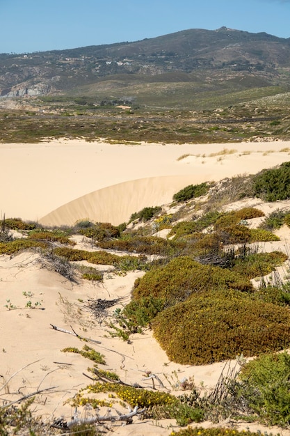 Sanddünen am Strand von Guincho