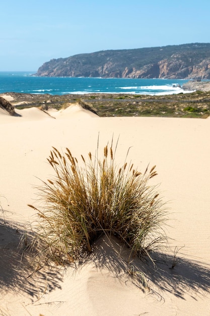 Sanddünen am Strand von Guincho