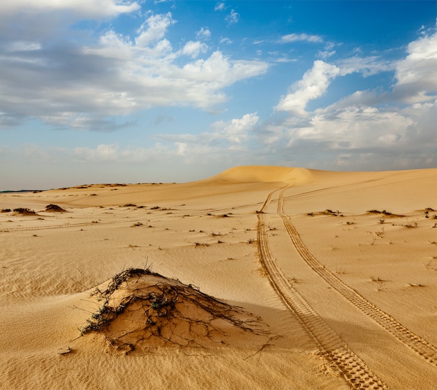 Sanddünen bei Sonnenaufgang, Mui Ne, Vietnam