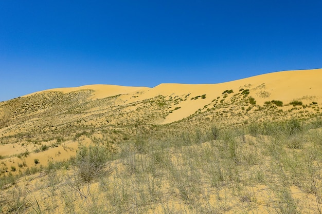 Sanddünen der Sarykum-Düne Ein Naturdenkmal Dagestan Russland