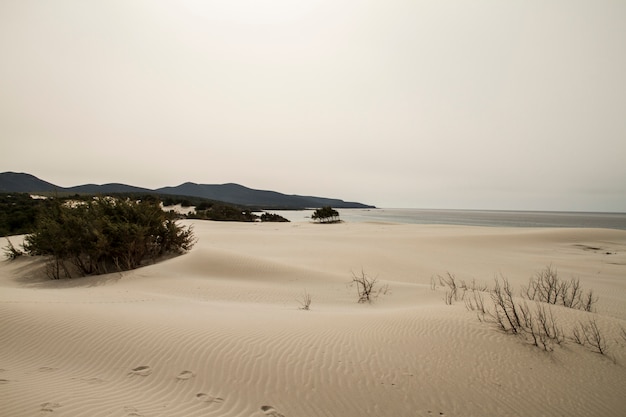 Sanddünen, die eine Mondlandschaft mit grauem Meer und bleihaltigem Winterhimmel bilden