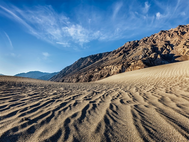 Sanddünen in Bergen