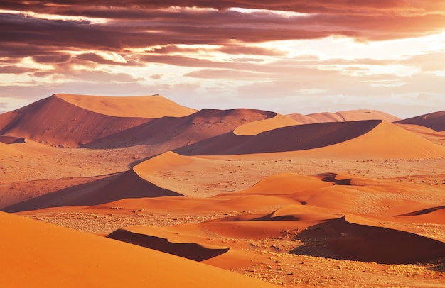 Sanddünen in der Namibwüste