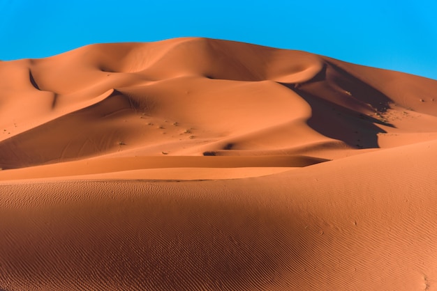 Sanddünen in der Sahara