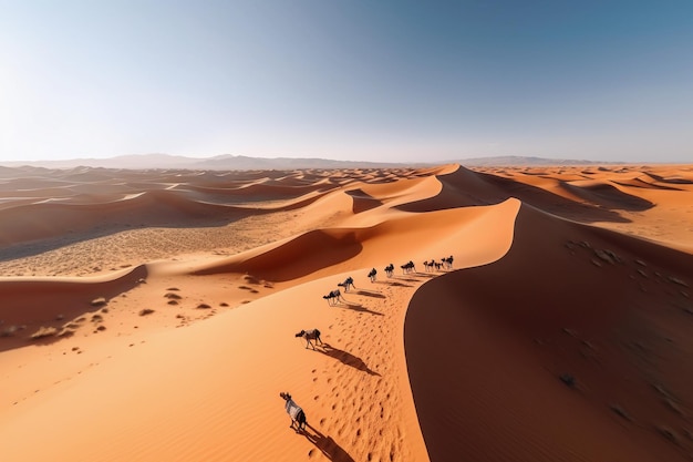 Sanddünen in der Wüste mit Kamelen bei Sonnenuntergang