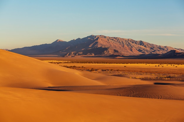 Sanddünen in der Wüste Sahara