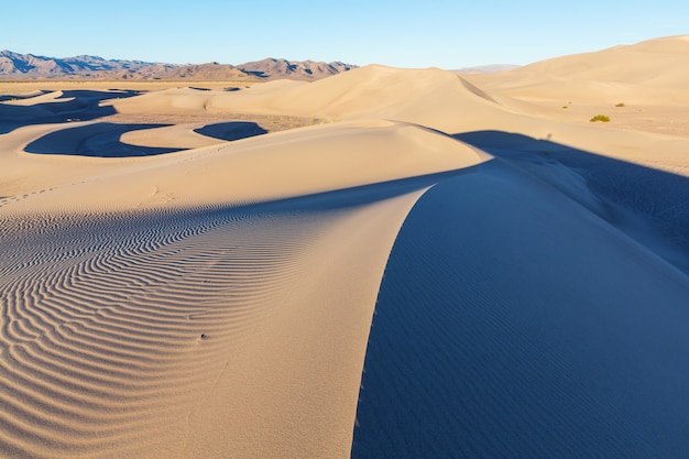 Sanddünen in der Wüste Sahara