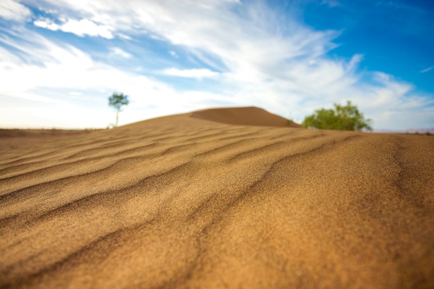 Sanddünen in der Wüste Sahara