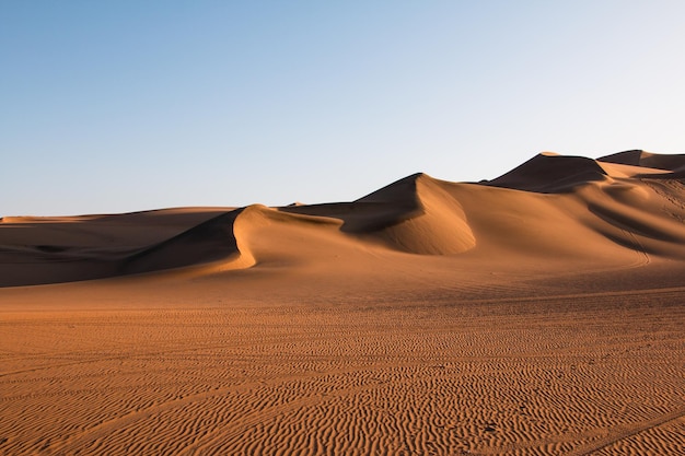 Sanddünen in der Wüste vor klarem Himmel