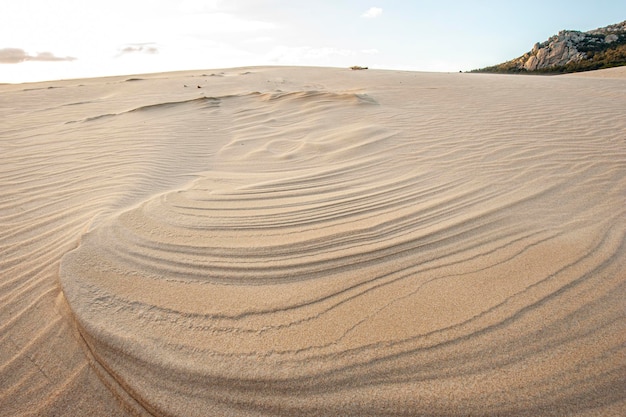 Foto sanddünen in der wüste