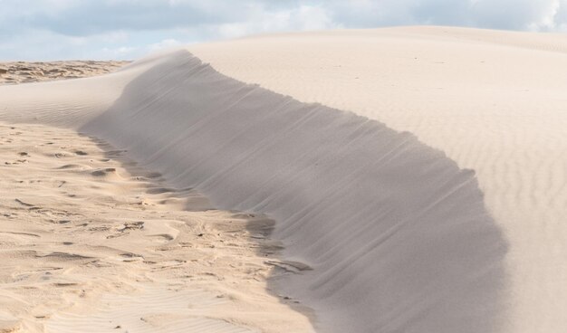 Foto sanddünen in der wüste