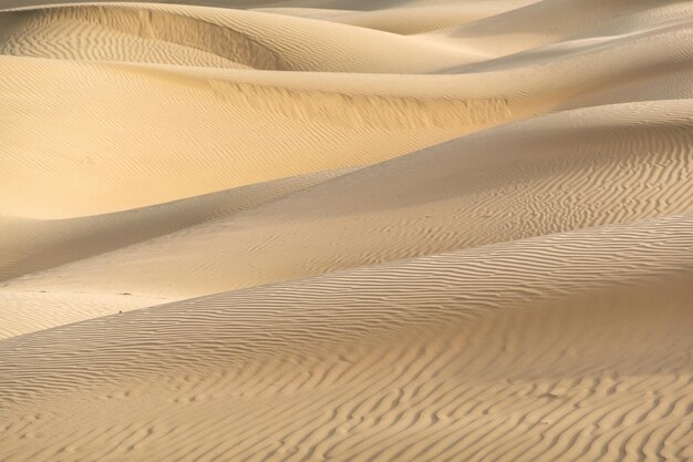 Sanddünen in der Wüste