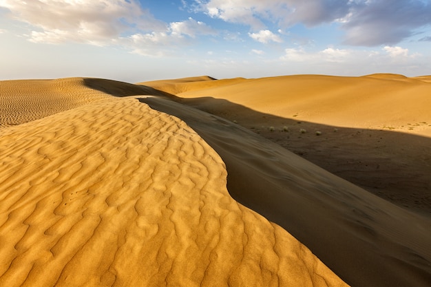 Sanddünen in der Wüste