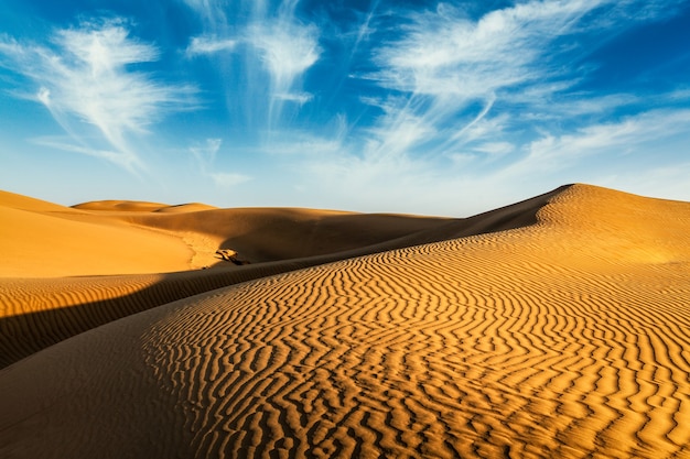 Sanddünen in der Wüste