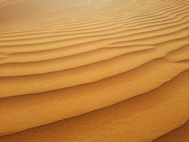 Sanddünen in der Wüste