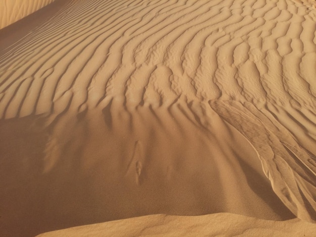 Sanddünen in der Wüste