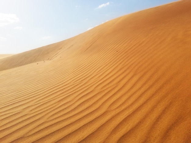 Sanddünen in der Wüste