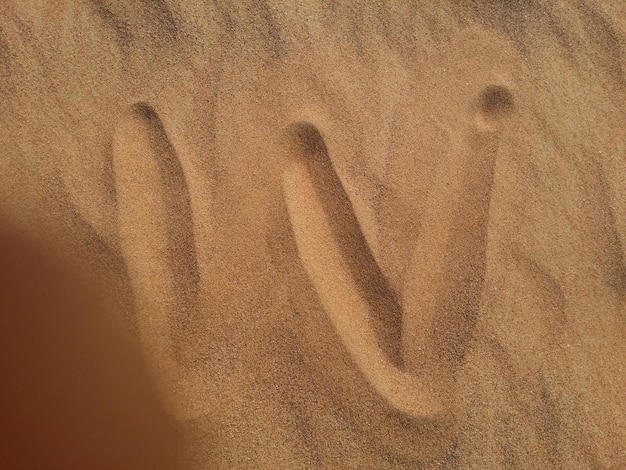 Sanddünen in der Wüste