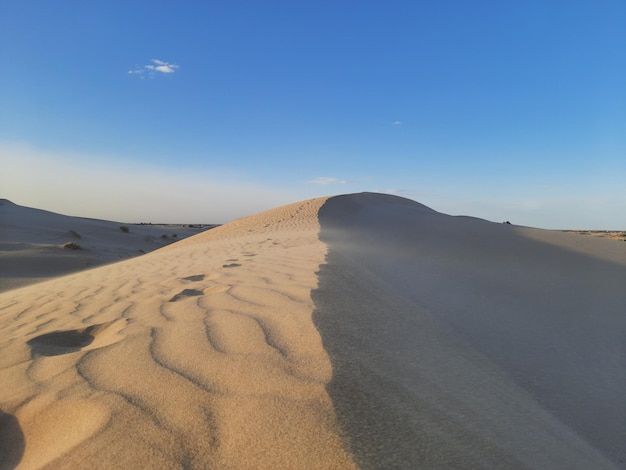 Foto sanddünen mit klarem himmel