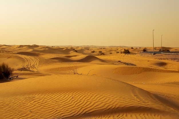 Sanddünen Orange Wüstensandlandschaft Hochwertiges Foto