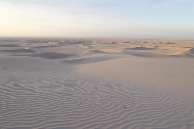 Sanddünen schaffen eine faszinierende Landschaft aus Kurven und Mustern in der Wüste. Generative KI