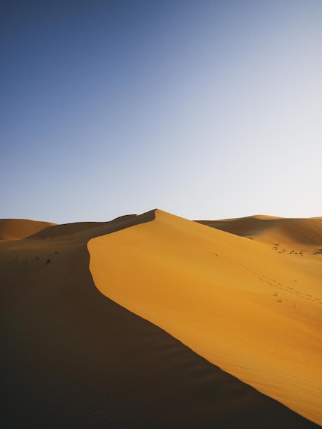 Sanddünen vor klarem Himmel