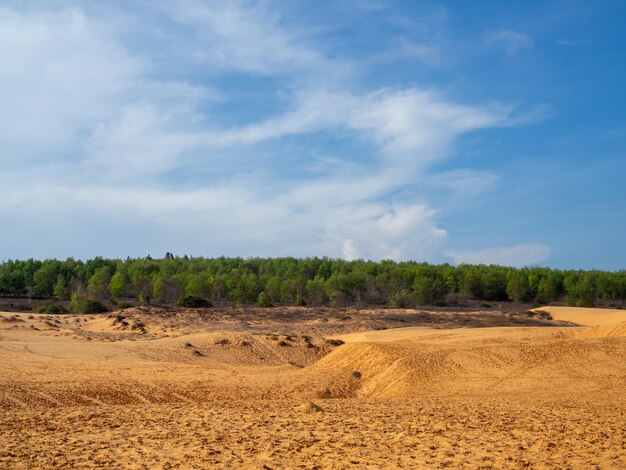 Sanddünen