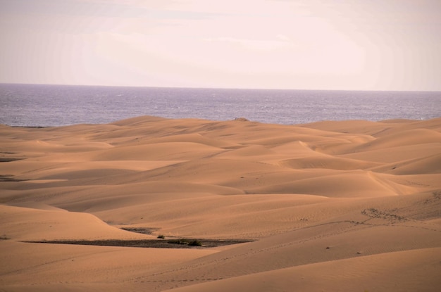 Sanddünenwüste in Maspalomas Gran Canaria Insel Spanien