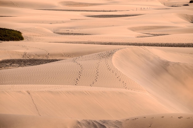 Sanddünenwüste in Maspalomas Gran Canaria Insel Spanien