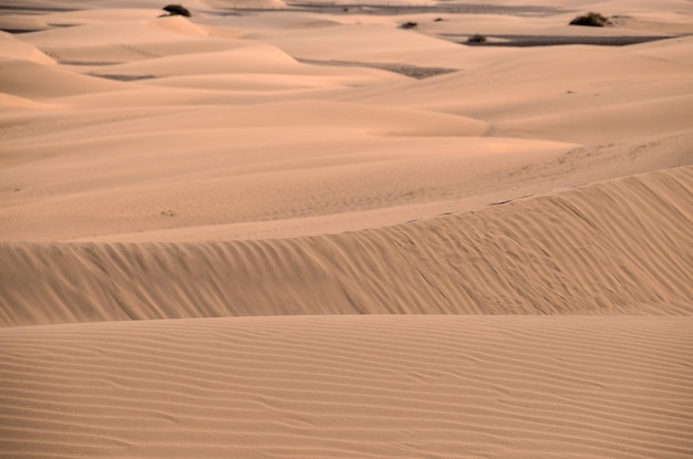 Sanddünenwüste in Maspalomas