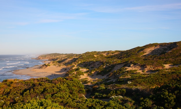 Sandhügel und Dünen an der Küste