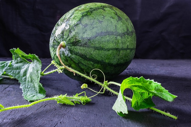 Sandia fresca y hoja