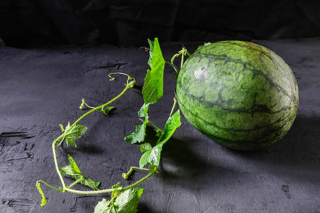 Sandia fresca y hoja