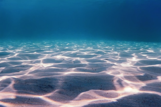 Sandiger Meeresboden Meereslebewesen, Unterwasserhintergrund